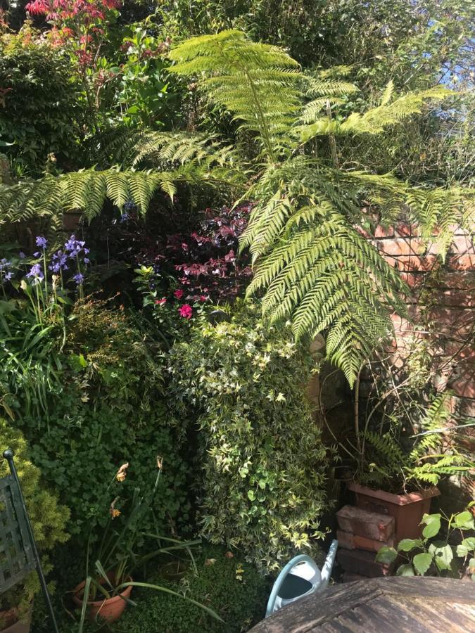 1920'S House. Private En Suite Sitting Room . Dog Friendly Teignmouth Exterior photo